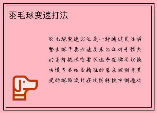 羽毛球变速打法