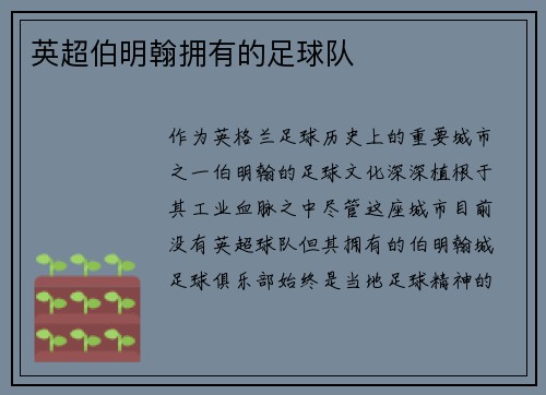 英超伯明翰拥有的足球队